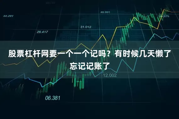股票杠杆网要一个一个记吗？有时候几天懒了忘记记账了
