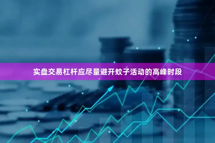 实盘交易杠杆应尽量避开蚊子活动的高峰时段