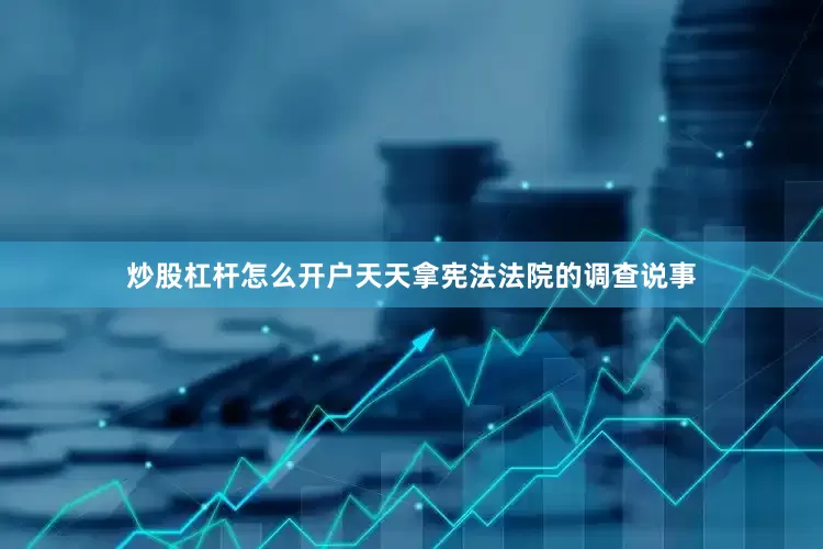 炒股杠杆怎么开户天天拿宪法法院的调查说事