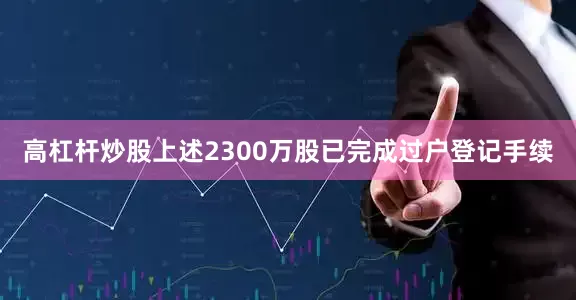 高杠杆炒股上述2300万股已完成过户登记手续