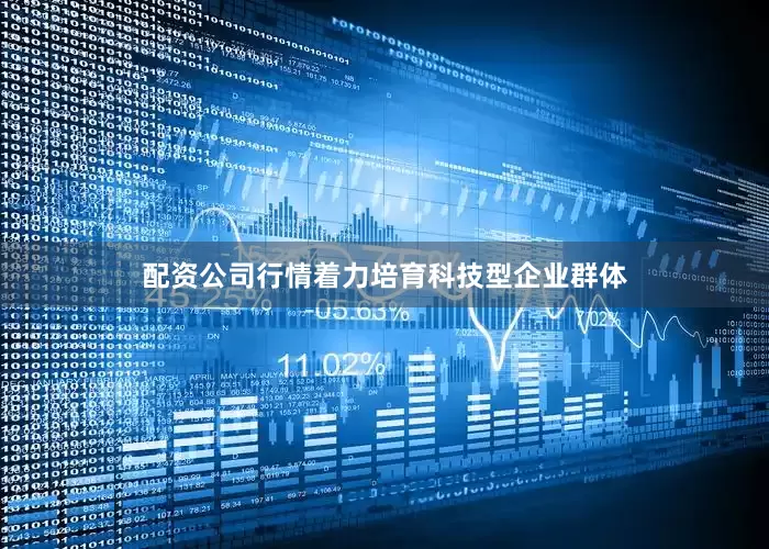 配资公司行情着力培育科技型企业群体