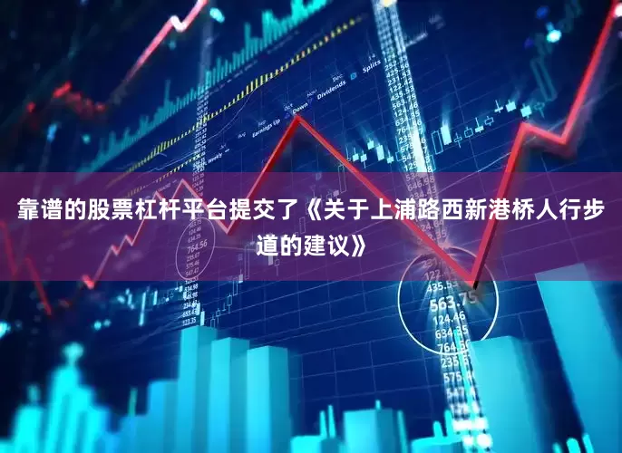 靠谱的股票杠杆平台提交了《关于上浦路西新港桥人行步道的建议》