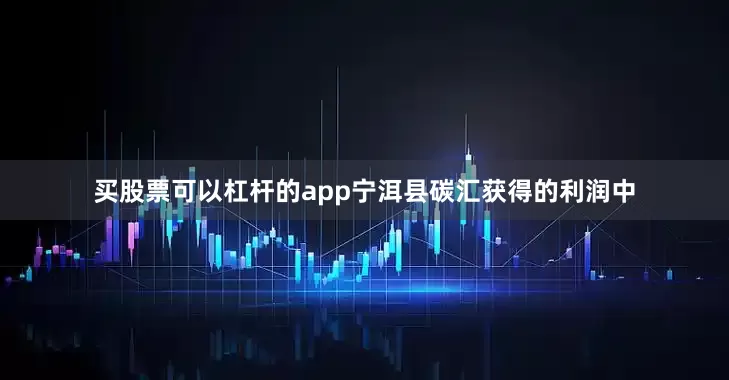买股票可以杠杆的app宁洱县碳汇获得的利润中