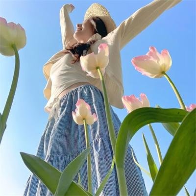 海豚的故事2